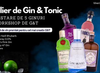 Atelierul de Gin Tonic la Corks Cozy Bar